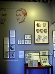 В Музее медицины в Мехико