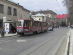 Во Львове трамвай ходят вдоль тротуаров, а машины стоят в центре дорожного полотна.
