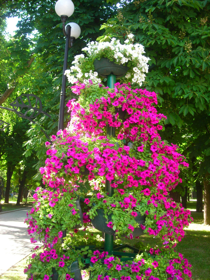 Донецкий парк кованых фигур. Донецк, Украина