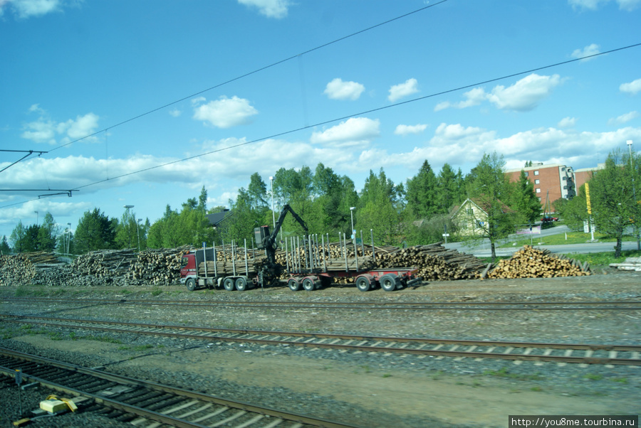 лес на дрова Хельсинки, Финляндия