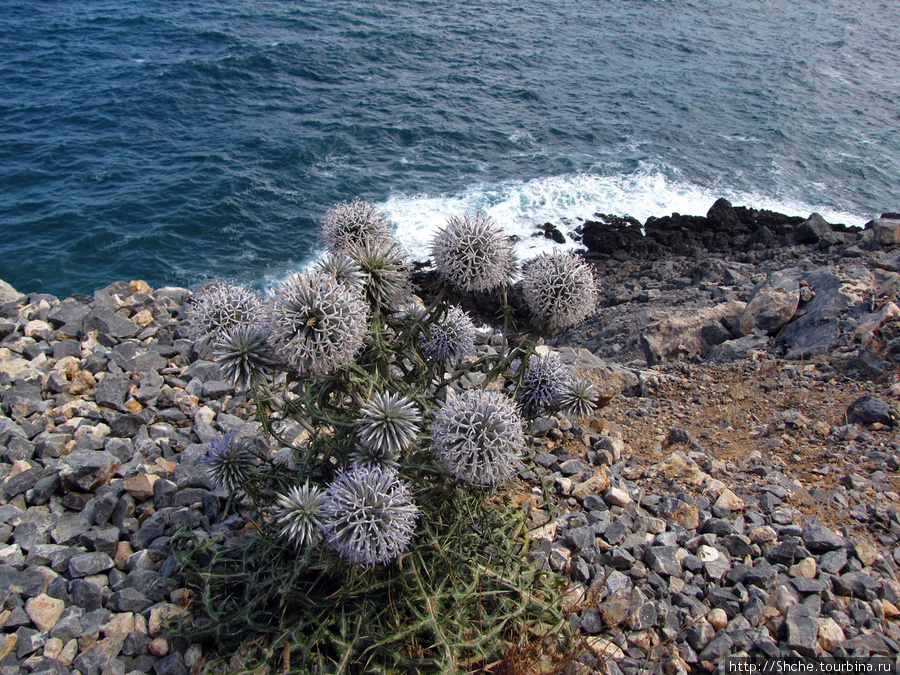 Дикий берег Крита - прогулка из Milatos в Sissi и назад