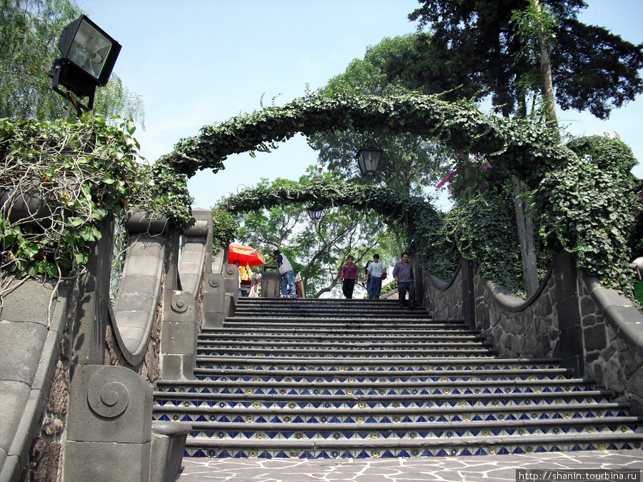 В парке Девы Марии Гваделупской в Мехико на лестнице Мехико, Мексика