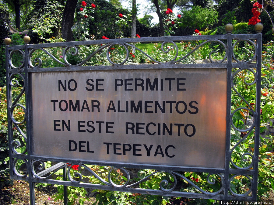 В парке Девы Марии Гваделупской в Мехико — рвать цветы запрещено Мехико, Мексика