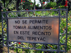 В парке Девы Марии Гваделупской в Мехико — рвать цветы запрещено