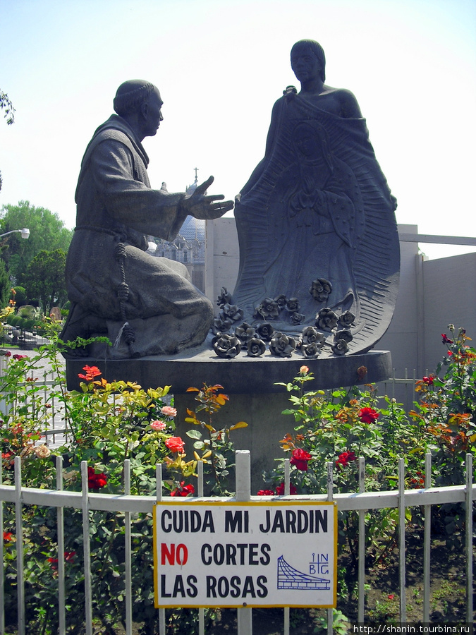 Площадь Девы Марии Гваделупской Мехико, Мексика