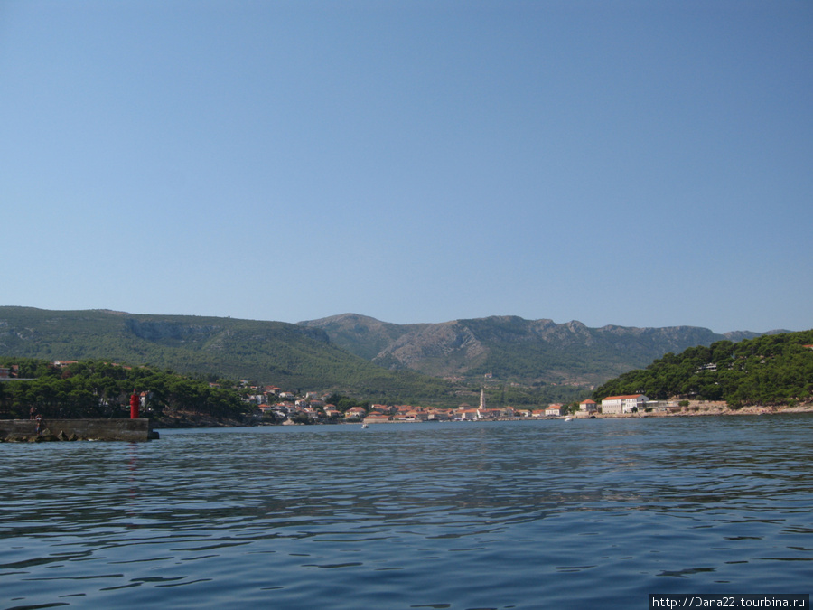 Лаванда, горная лаванда Остров Хвар, Хорватия