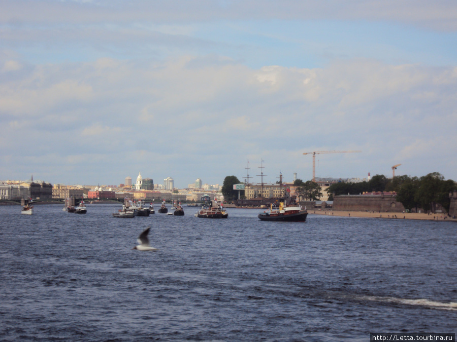 Суета на Неве Санкт-Петербург, Россия