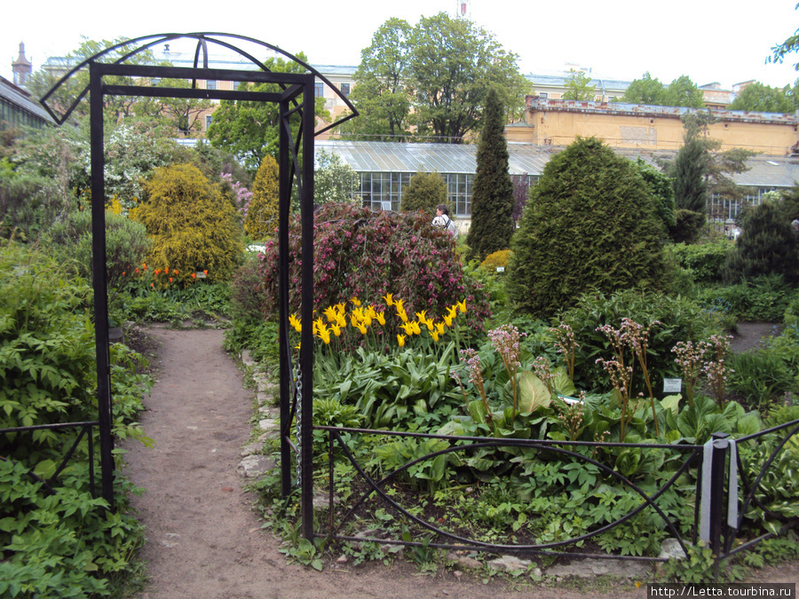 Сад Санкт-Петербург, Россия