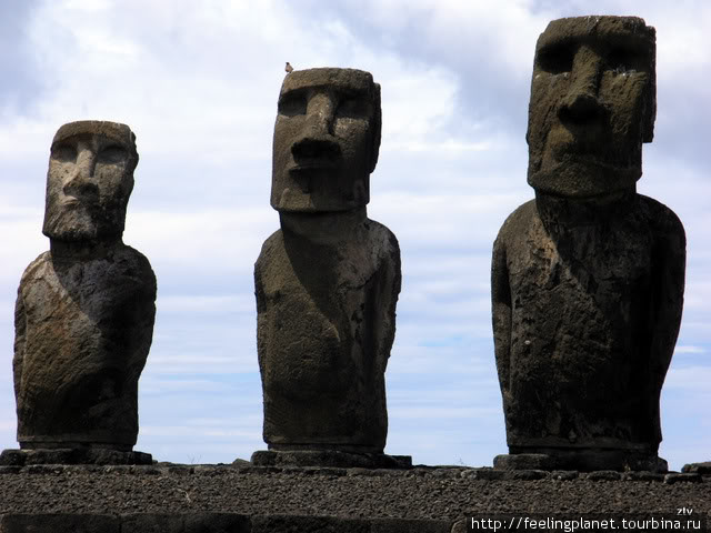 Здравствуйте, дорогие истуканы Остров Пасхи, Чили