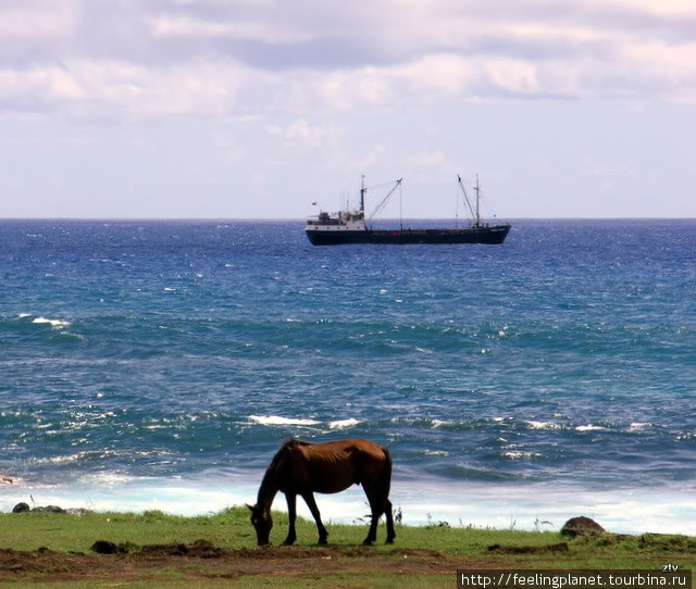 Пасхальная лошадка Остров Пасхи, Чили
