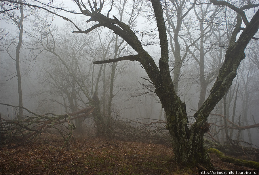 Туманное воскресенье Алушта, Россия