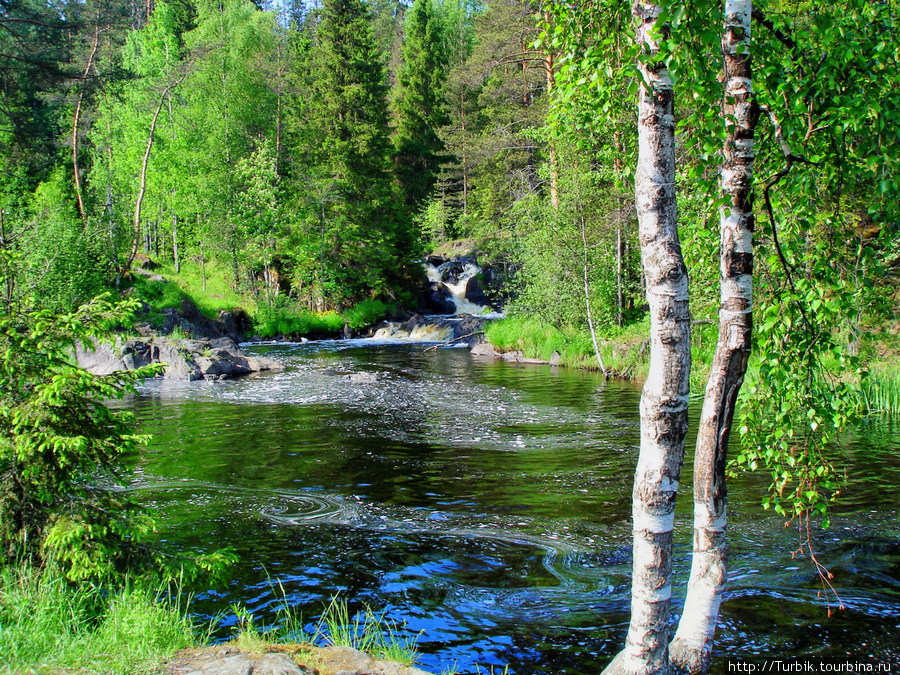 правый рукав Тохмы рядом с Ахенокоски также образует небольшой водопад Рускеала, Россия