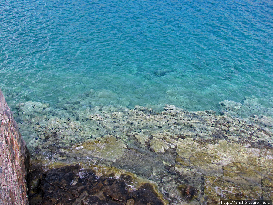 Вокруг крепости в воде колонии морских ежей Спиналонга остров, Греция