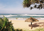 Грибки-зонтики нечасто встретишь на пляжах Шри-Ланки, в отличие от европейских курортов: для защиты от тропического солнца зону отдыха устраивают под пологом пальм на территории отелей.