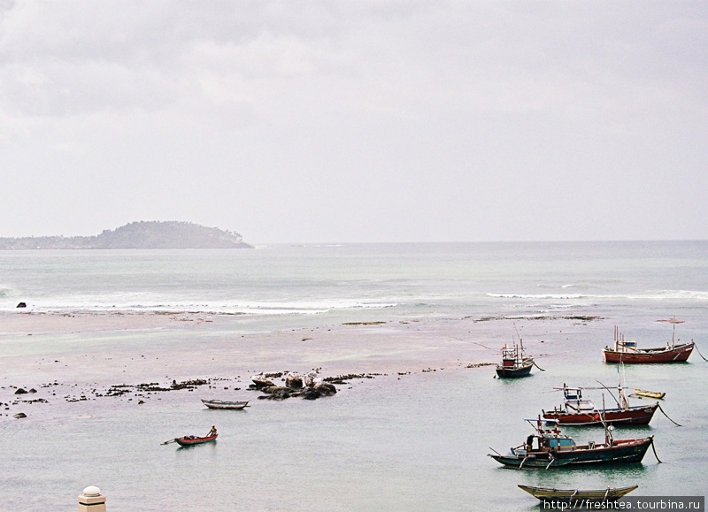 Бухта в Велигаме — мелководная, прикрытая от волн рифами (что нечасто случается на Шри-Ланке), вот рыбаки и облюбовали это место как стоянку для своих лодок и катеров. Шри-Ланка
