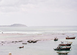 Бухта в Велигаме — мелководная, прикрытая от волн рифами (что нечасто случается на Шри-Ланке), вот рыбаки и облюбовали это место как стоянку для своих лодок и катеров.