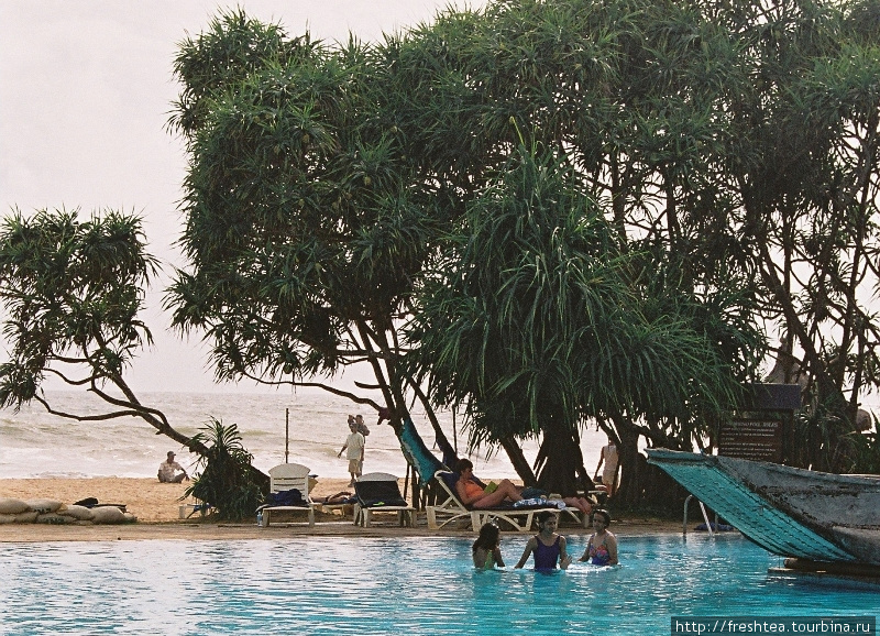 Девчоночки идти купаться в океан не отваживаются — им довольно и просторного бассейна в отеле Heritance в Ахунгале. Шри-Ланка