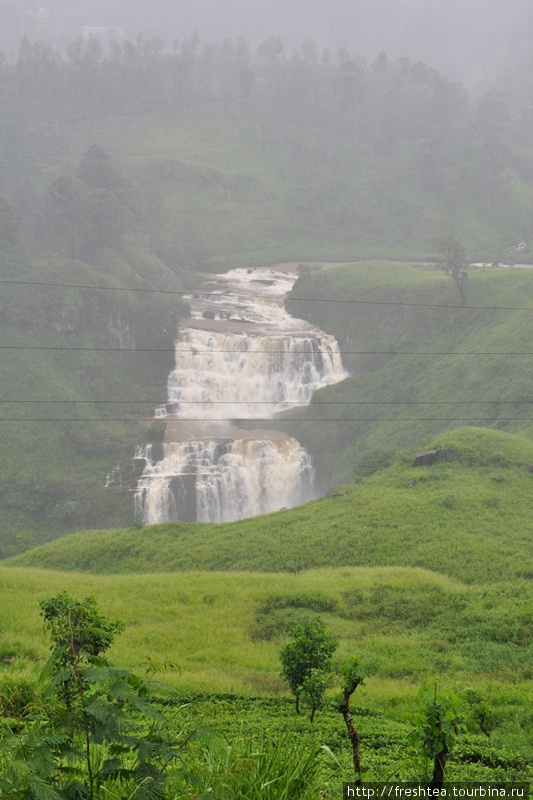 А этот поток не сезонный: названный по названию близлежащего поместья, водопад St Clair (Св. Клара) постоянно низвергает вниз тонны воды. Шри-Ланка