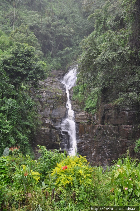 Обилие воды сбрасывается через узкие желоба водопадов. Их на острове около 200! Шри-Ланка