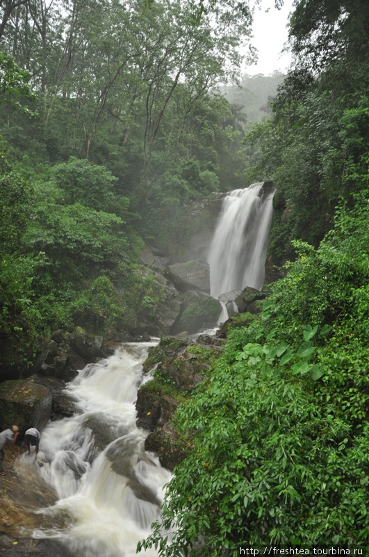 Если день выдался дождливый, то водопады можно видеть едва ли не на каждом втором повороте шоссе. Шри-Ланка