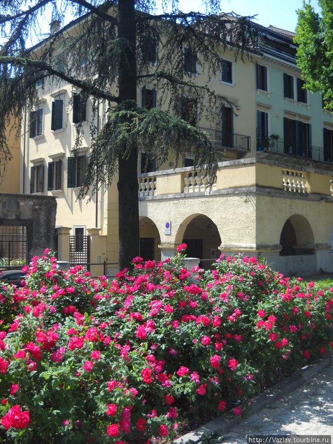 Цветущий вид Верона, Италия