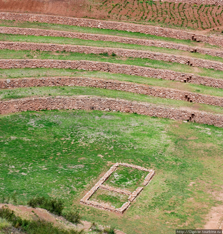 Внутри  круга выложенные камнями два квадрата, что это означает, не совсем ясно, или отдельный огород, или место, где сидел охранник:) Марас, Перу