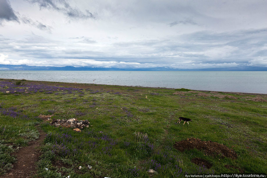 Севан — самое большое горное озеро в мире после озера Титикака, также самое большое озеро в Армении по запасам водных ресурсов. До 1930 г. называлось также Гокча, что в переводе с тюркских языков означает «синяя вода». Армения