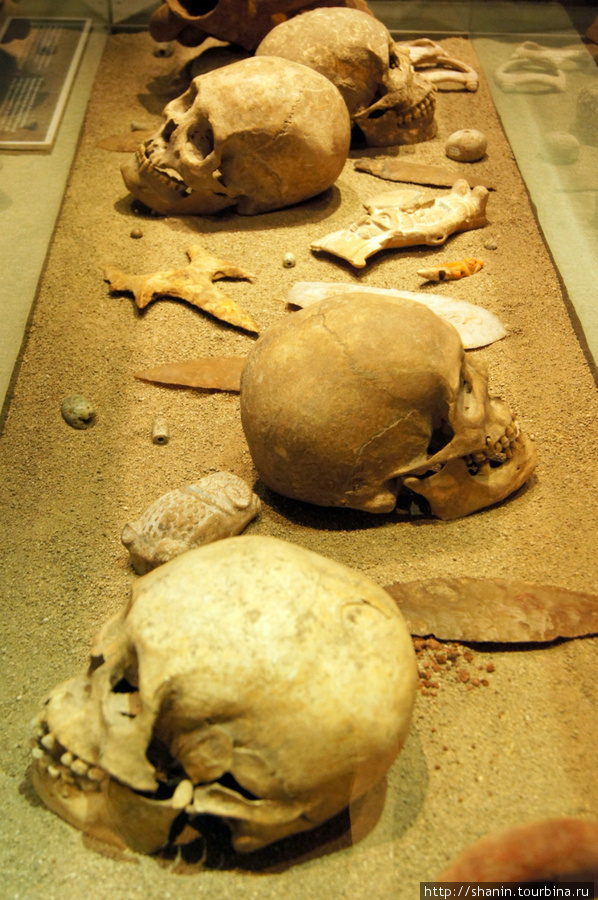 Черепа в Археологическом музее в Пуэбле Пуэбла, Мексика
