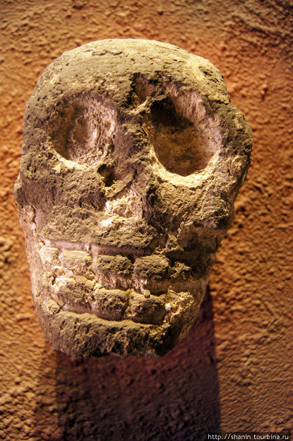 Череп в Археологическом музее в Пуэбле Пуэбла, Мексика