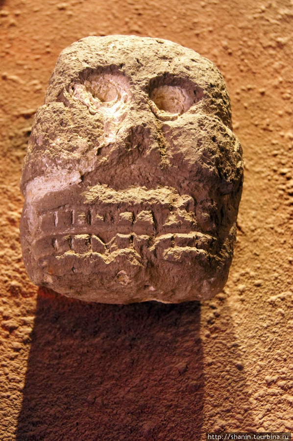 Череп в Археологическом музее в Пуэбле Пуэбла, Мексика