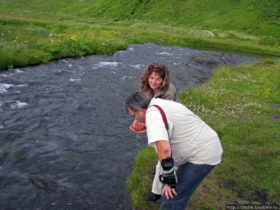 Мы с удовольствием напились воды из речки, причем, здесь была самая вкусная вода Сельяландсфосс, Исландия