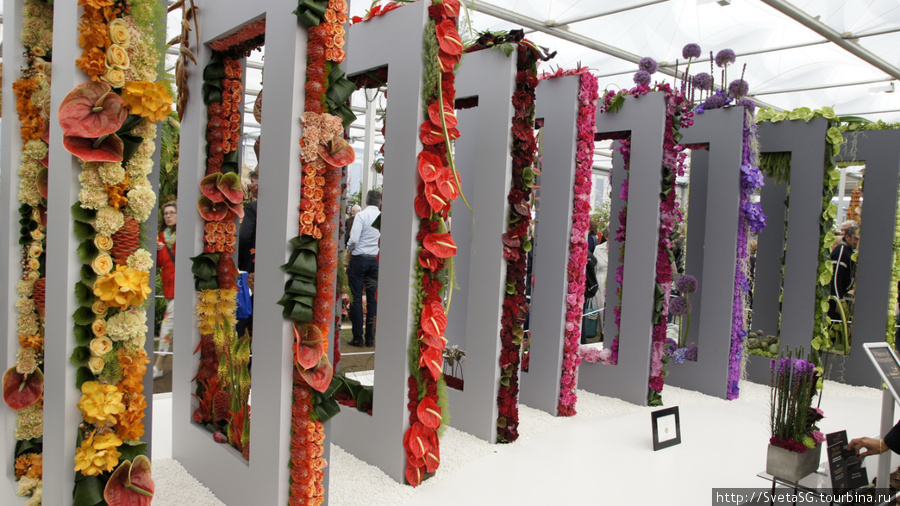 Выставка цветов и ланшафтного дизайна в Челси. Май 2011г. Лондон, Великобритания