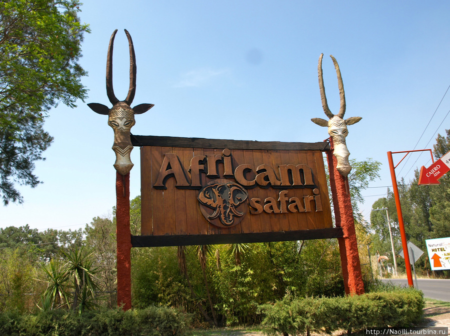 Africam Safari - по саванне на машине Штат Пуэбла, Мексика