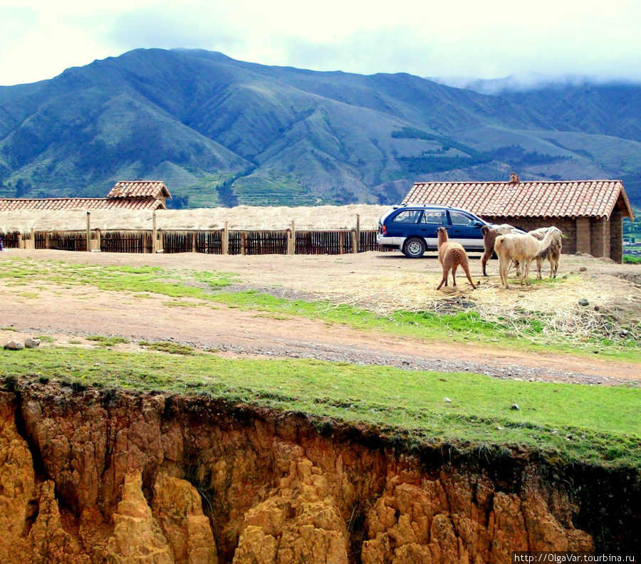 Каменные великаны Сытого Сокола Куско, Перу