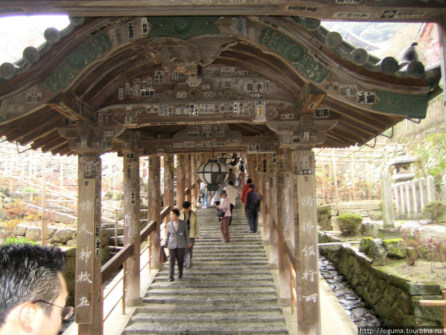 От входа до главного храма ведёт покрытая деревянным навесом лестница, почти 200 метров в длину, имеющая 399 небольших каменных ступенек. Паломники верили, что поднимаясь по ним, они смогут избавиться от 108 иллюзий ведущих к страданиям. Если вы очень любите свои недостатки, то может лучше не рисковать и не подниматься по ней. Хотя, думаю, ничего с ними не случится. Сакурай, Япония