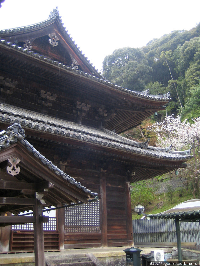 Храм Хаседера в префектуре Нара. Сродни птице Феникс. Сакурай, Япония