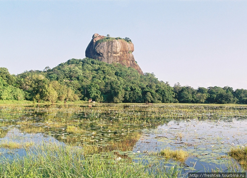 Гигантская каменная скала Сигирия (от сингха и гири — горло льва) в довольно пологой центрально-северной части острова притягивает взор путешественника необыкновенным силуэтом и окраской. Она окружена сухими джунглями и множеством водоемов. Шри-Ланка