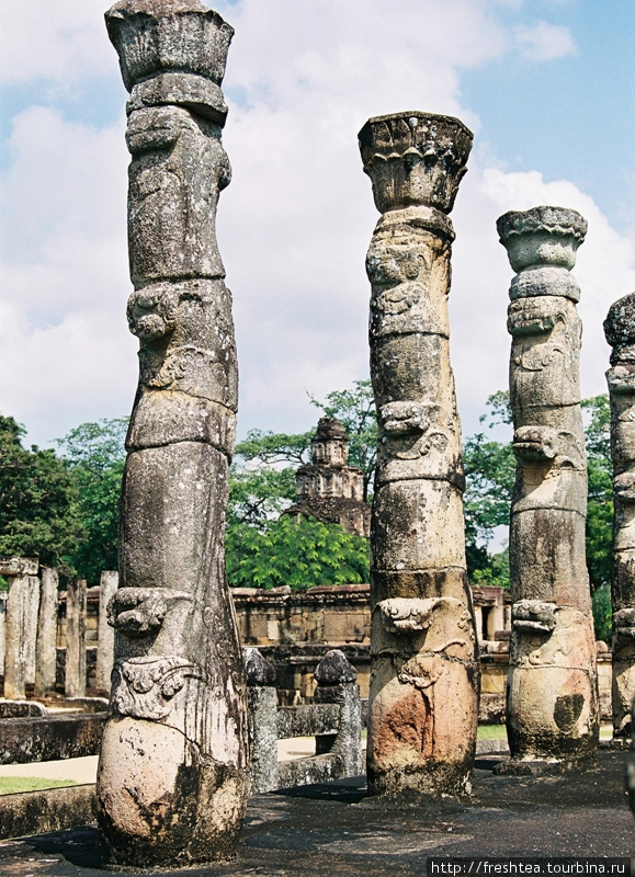 Колонны в виде лиан — уникальные конструкции средневековой Полоннарувы. Шри-Ланка