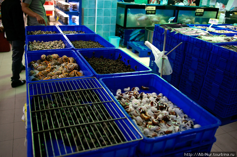 Близость моря можно увидеть и на ассортименте магазинов, можно купить десятки видов рыбы и всевозможных морепродуктов. Некоторые особо ретивые морепродукты убегают из лотков и их притаптывают решёткой. Вьетнам
