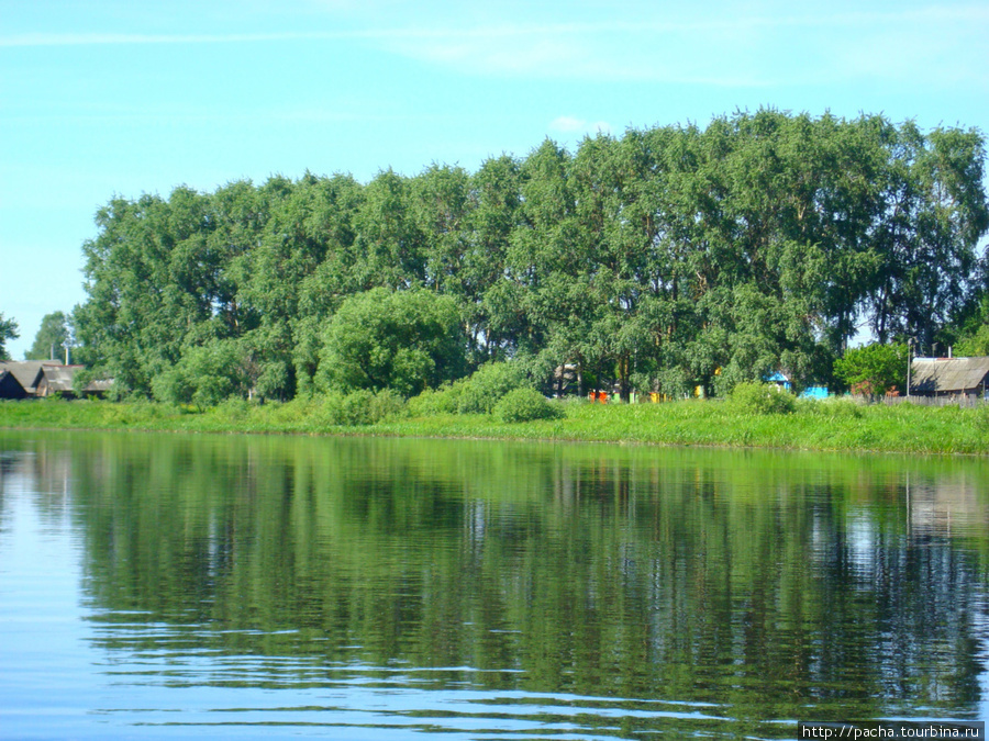 Р.Березина д.Палик Березинский биосферный заповедник, Беларусь