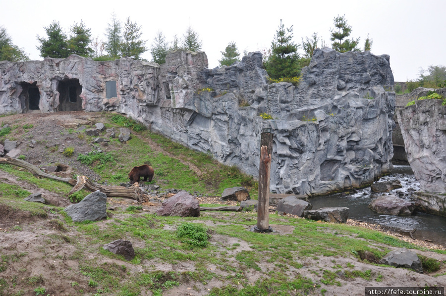 Зоопарк Zoom Erlebniswelt (Gelsenkirchen) Гельзенкирхен, Германия