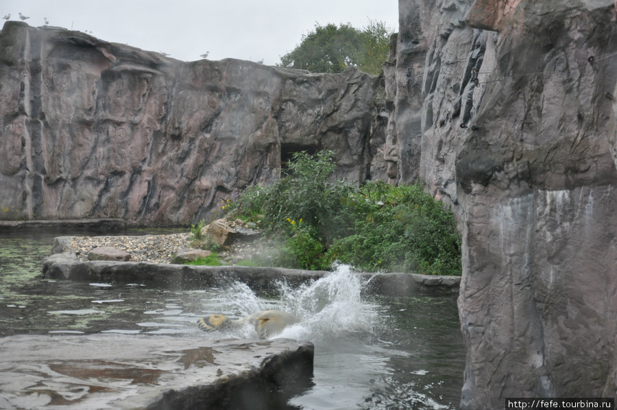 Зоопарк Zoom Erlebniswelt (Gelsenkirchen) Гельзенкирхен, Германия