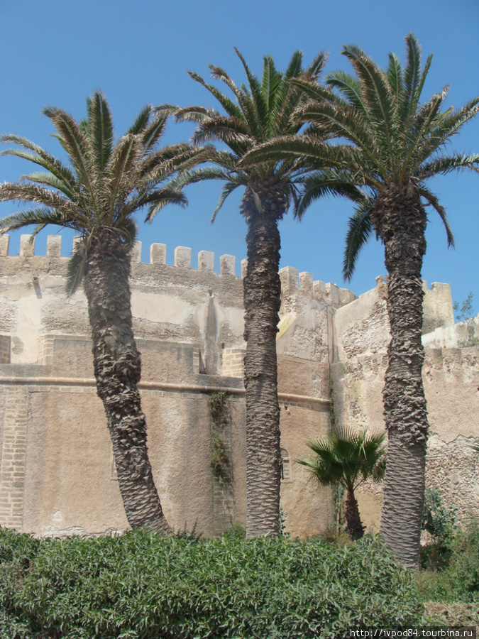 Северный бастион крепости Эссуэйра, Марокко