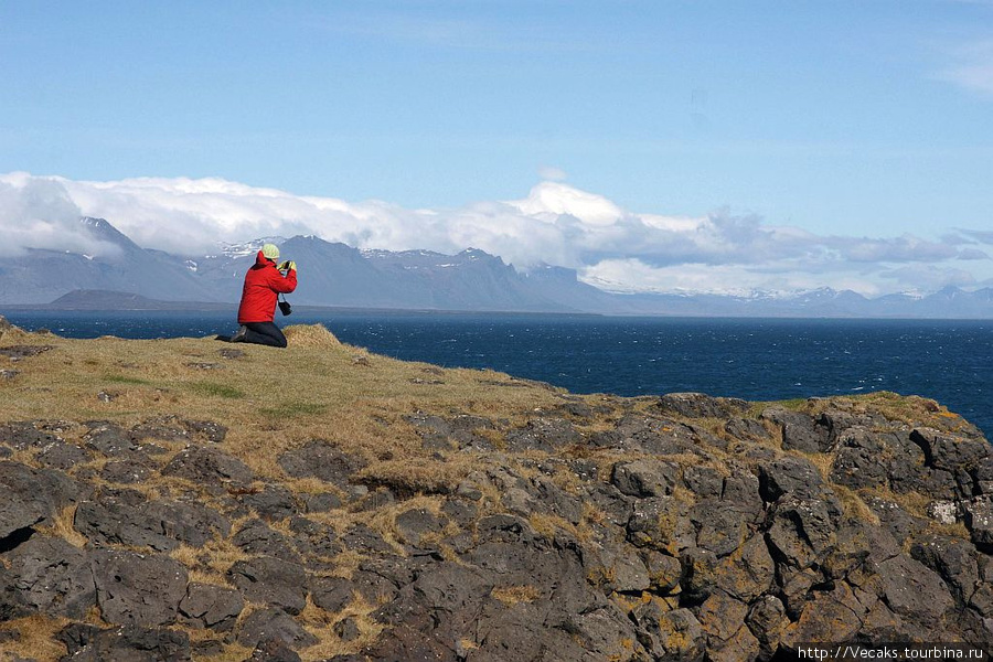 Безуспешный поиск пуффинов у вулкана Снайфедльсйокюдль Западная Исландия, Исландия