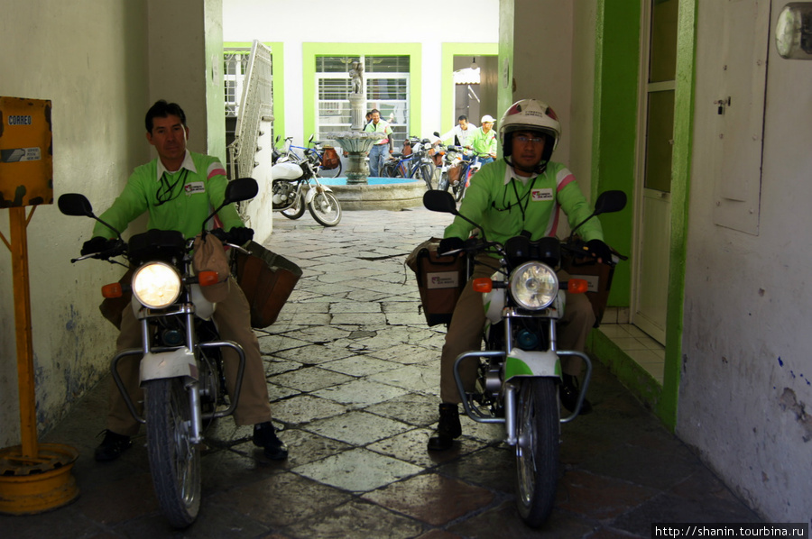 Мотоциклисты с горячей пиццей Пуэбла, Мексика