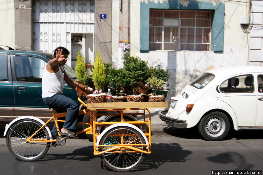 Торговец с вело-тележкой Пуэбла, Мексика