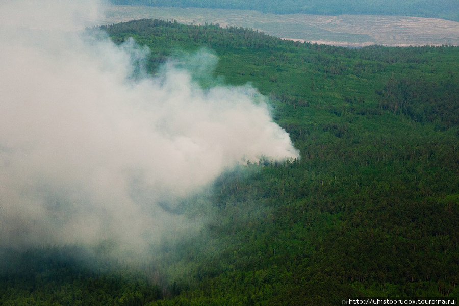 Лесные пожары Кодинск, Россия