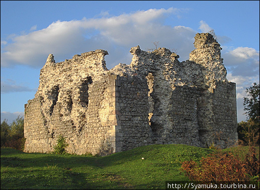 Руины замка. (по тех причинам — фото не мое) Середне, Украина