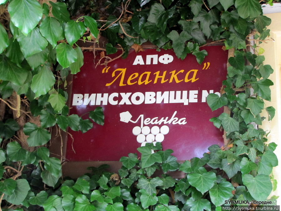Винохранилище принадлежит АПФ Леанка. Середне, Украина