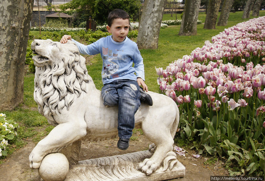 Малыш на льве в парке Топкапы Стамбул, Турция